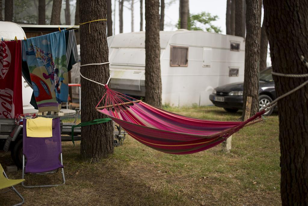 Camping Cachadelos Hotel Sanxenxo Eksteriør billede