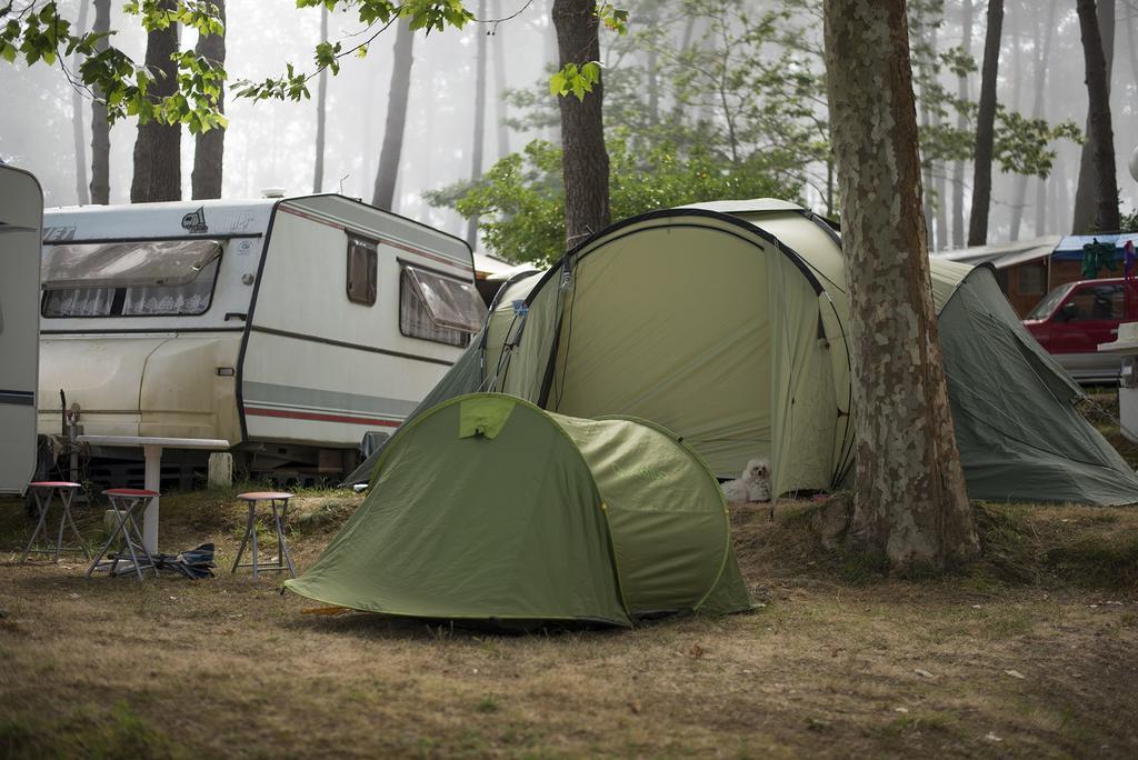 Camping Cachadelos Hotel Sanxenxo Eksteriør billede
